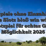 Freispiele ohne Einzahlung: Beste Slots bloß win wizard Slotspiel für echtes Geld Möglichkeit 2026