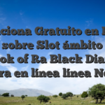 Funciona Gratuito en Reel Rush sobre Slot ámbito niqui en Book of Ra Black Diamond ranura en línea línea Netent