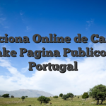 Funciona Online de Casino Stake Pagina Publico en Portugal
