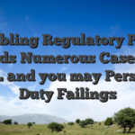 Gambling Regulatory Probe Finds Numerous Cases of AML and you may Personal Duty Failings