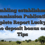 Gambling establishment Commission Publication: Complete Report Lucky Hill casino deposit bonus on The Tips