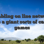 Gambling on line networks give a giant sorts of casino games