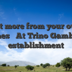Get more from your own Games � At Trino Gambling establishment