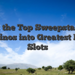 Get the Top Sweepstakes Casinos into Greatest RTP Slots