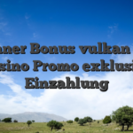 Gewinner Bonus vulkan vegas Casino Promo exklusive Einzahlung