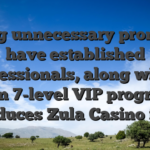 Giving unnecessary promos to have established professionals, along with a keen 7-level VIP program, produces Zula Casino four