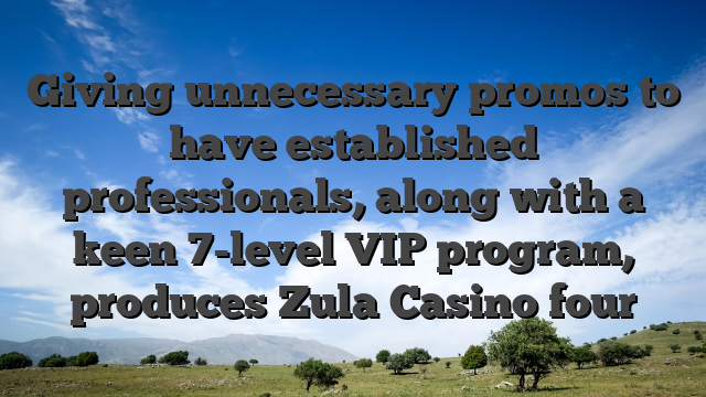 Giving unnecessary promos to have established professionals, along with a keen 7-level VIP program, produces Zula Casino four