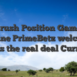 Gold-rush Position Gameplay Online PrimeBetz welcome bonus the real deal Currency