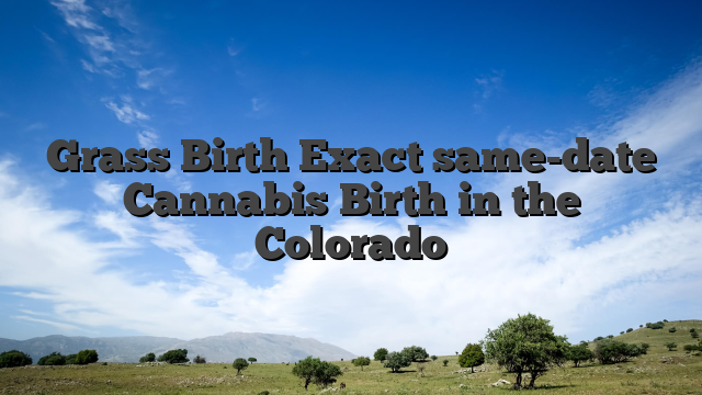 Grass Birth Exact same-date Cannabis Birth in the Colorado