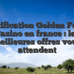 Gratification Golden Félidé Casino en france : les meilleures offres vous attendent
