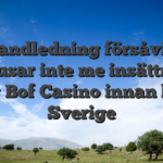 Handledning försåvitt bonusar inte me insättning villig Bof Casino innan lirar i Sverige