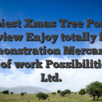 Happiest Xmas Tree Position Review Enjoy totally free Demonstration Mercantile Place of work Possibilities Pvt Ltd.