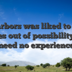 Harbors was liked to be games out of possibility that need no experience