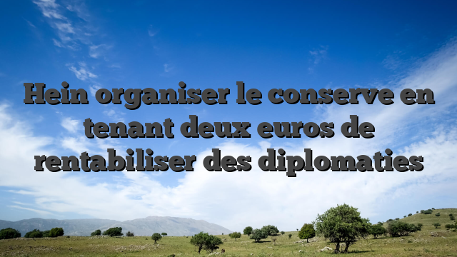 Hein organiser le conserve en tenant deux euros de rentabiliser des diplomaties