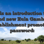 Here is an introduction to the brand new Zula Gambling establishment promotion password: