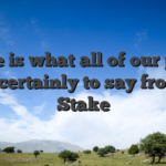 Here is what all of our pros need certainly to say from the Stake