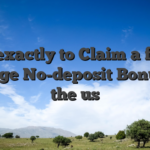 How exactly to Claim a free of charge No-deposit Bonus in the us