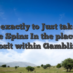 How exactly to Just take 100 Free Spins In the place of Deposit within Gamblizard