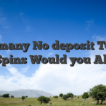 How many No deposit Totally free Spins Would you Allege?