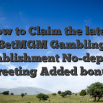 How to Claim the latest BetMGM Gambling establishment No-deposit Greeting Added bonus