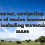 However, navigating the realm of casino bonuses can feel including traversing a maze