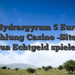Hydrargyrum 5 Euro Einzahlung  Casino -Sites Slot qua Echtgeld spielen