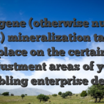 Hypogene (otherwise number one) mineralization takes place on the certain adjustment areas of your Gambling enterprise deposit