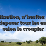 I� destination, n’hesitez nenni vers deposer tous les enigme selon le croupier