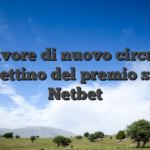 I favore di nuovo circa di Gazzettino del premio saluto Netbet