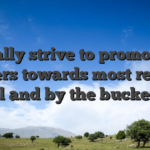 I usually strive to promote our players towards most readily useful and by the bucket load