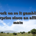 I work on so it gambling enterprise since an affiliate mate