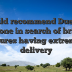 I would recommend Duelz for everyone in search of brilliant features having extremely delivery