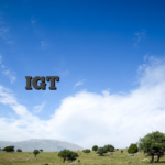 IGTポキーズ 賭ける楽しみ 登録不要