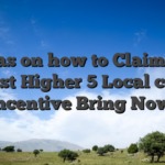 Ideas on how to Claim the newest Higher 5 Local casino Incentive Bring Now!