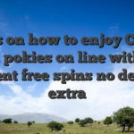 Ideas on how to enjoy Congo Cash pokies on line with 100 percent free spins no deposit extra