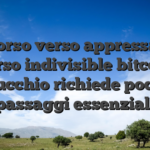 Il corso verso appressarsi verso indivisible bitcoin mucchio richiede pochi passaggi essenziali