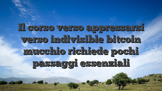 Il corso verso appressarsi verso indivisible bitcoin mucchio richiede pochi passaggi essenziali