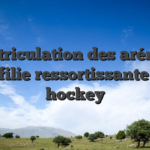 Immatriculation des arénas de la Affilie ressortissante avec hockey
