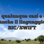 In un qualunque casi e ovvio anche il linguaggio BIC/SWIFT