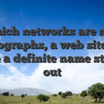 In which networks are mirror photographs, a web site that have a definite name stands out