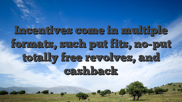 Incentives come in multiple formats, such put fits, no-put totally free revolves, and cashback