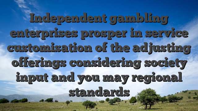 Independent gambling enterprises prosper in service customisation of the adjusting offerings considering society input and you may regional standards