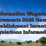 Information Wagering Requirements 2026 Gambling establishment Incentive Regulations Informed me