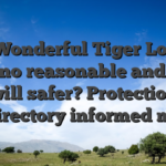 Is Wonderful Tiger Local casino reasonable and you will safer? Protection Directory informed me