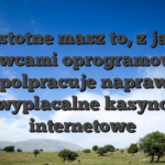 Jak istotne masz to, z jakimi dostawcami oprogramowania wspolpracuje naprawde wyplacalne kasyno internetowe