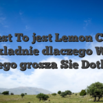 Jak jest To jest Lemon Casino I dokladnie dlaczego Warte kazdego grosza Sie Dotknac?