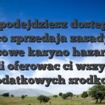 Jesli podejdziesz dostepne z, co sprzedaja zasady bonusowe kasyno hazardowe, mogli oferowac ci wszystkie dodatkowych srodkow