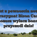 Jest z pewnoscia nowy kontrasygnat Bison Casino i mozesz wylacz bonus przyszedl dzis!