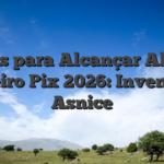 Jogos para Alcançar Algum carreiro Pix 2026: Inventário Asnice