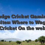 Judge Cricket Gaming Websites: Where to Wager on Cricket On the web